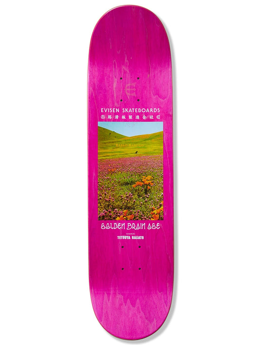 EVISEN Golden Brain Age Deck 8.25"