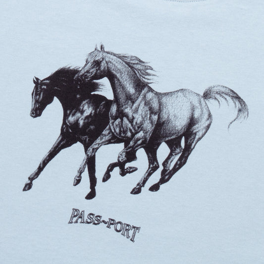 Passport Brumbies Tee - Sky Blue