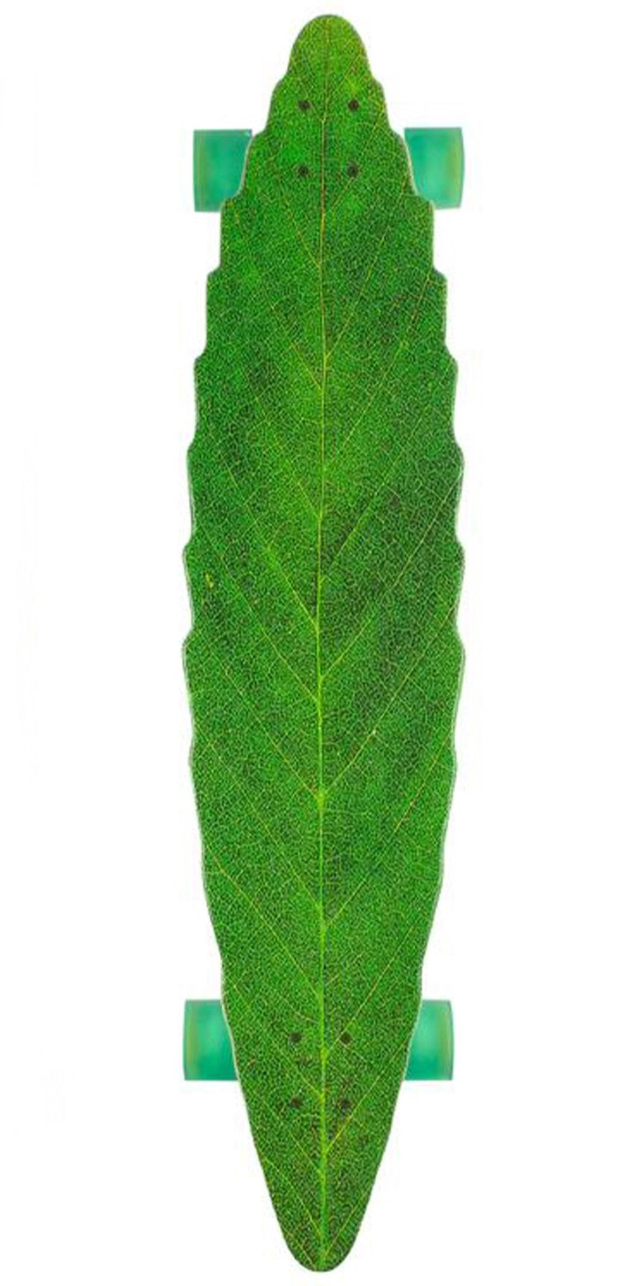 ハビタット リーフライン ロングボード コンプリート 41"