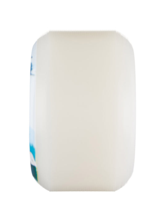 SATORI Hamilton Canada Conical Wheels 54mm/101a