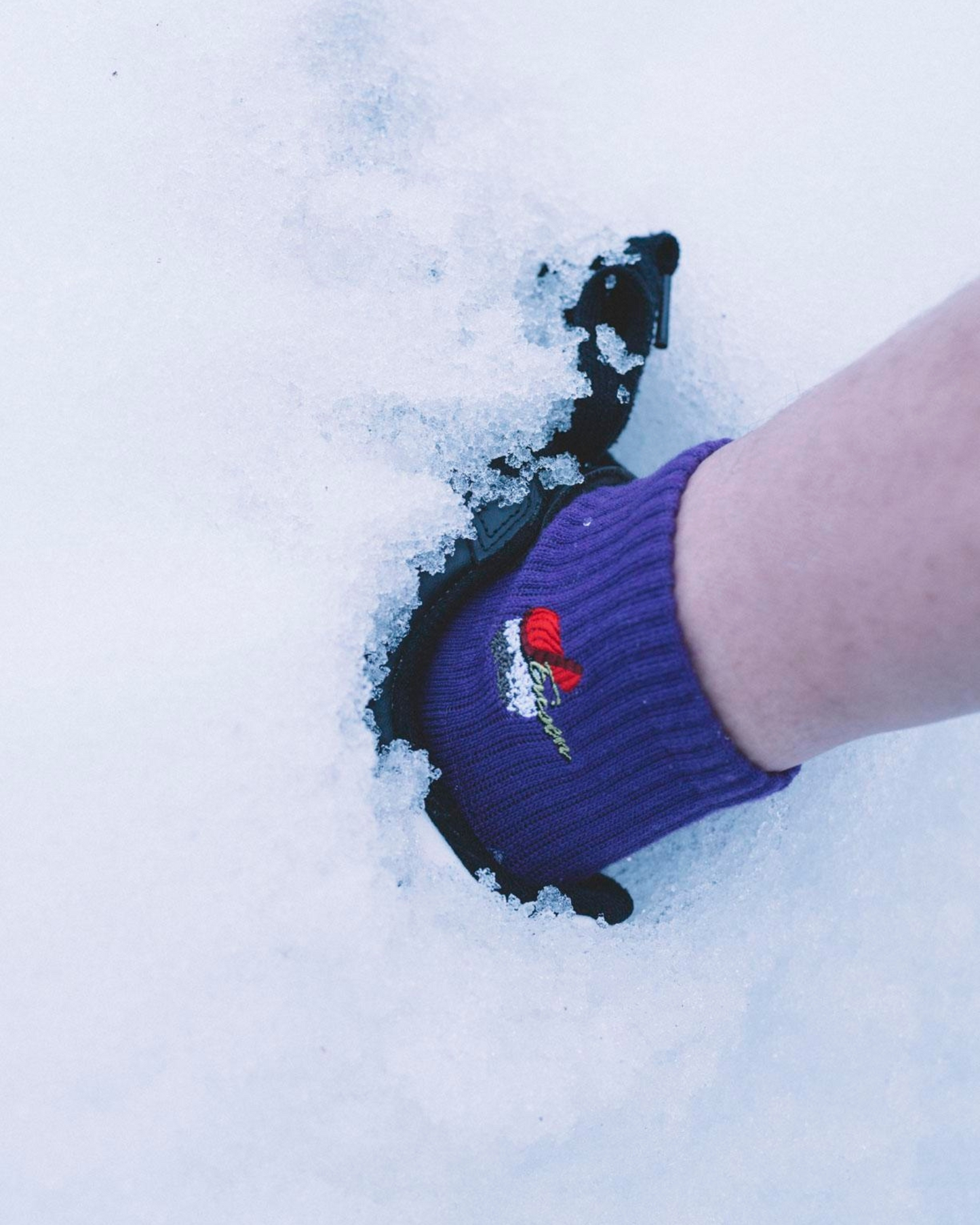 EVISEN Sushi Ankle Socks - Purple